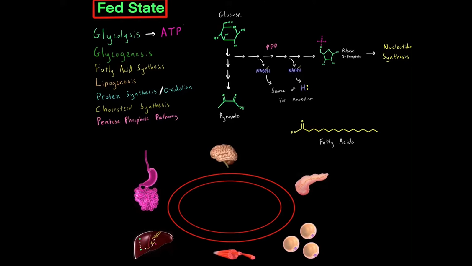 Science Simplified MCAT Lesson
